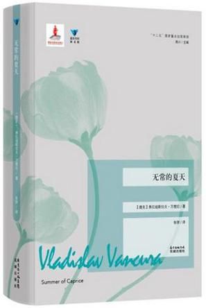 《无常的夏天》