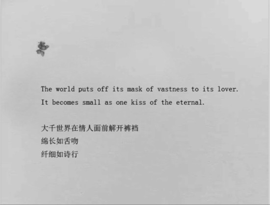 冯唐译本《飞鸟集》下架