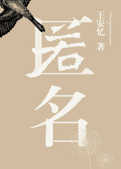 《匿名》　　王安忆　　　人民文学出版社