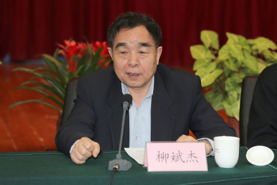 柳斌杰