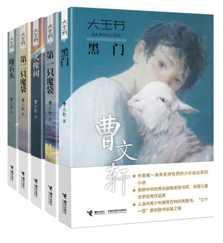 “大王书”系列
